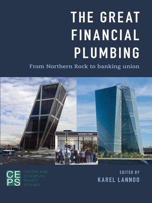 cover image of The Great Financial Plumbing